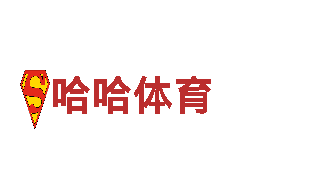 8828代表什么意思-安防百强企业